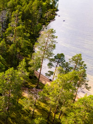 camper-van-nestled-in-finnish-lapland-forest-2026